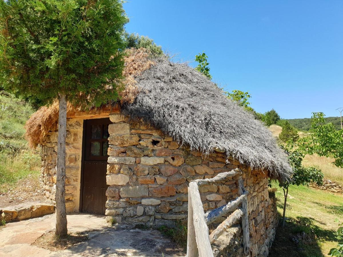 Casa Rural Don Rosendo Olmeda de Cobeta Exteriör bild